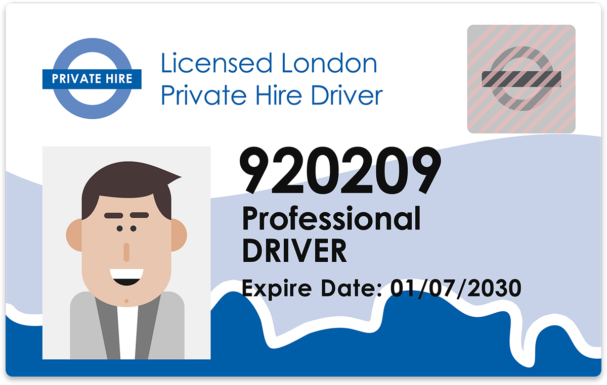 professional Private driver license